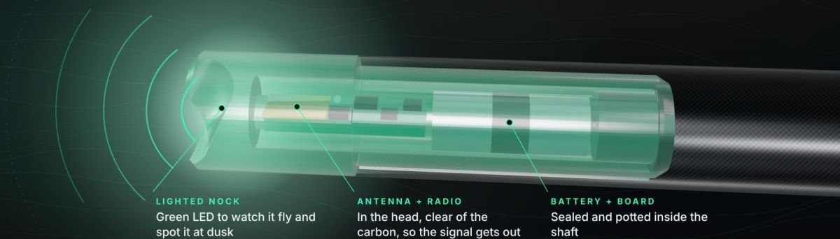 Cutaway concept render of the Nockout nock in a carbon crossbow bolt. The nock head glows green and holds the antenna and radio. The battery and board sit inside the shaft.